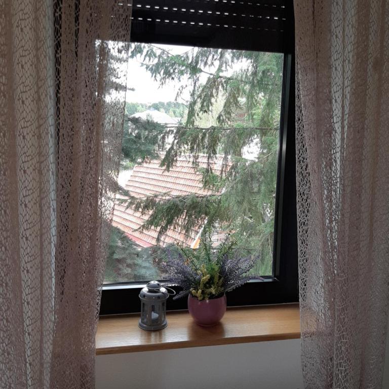 Apartman Nana Svetogorska 19 ,stan 17 - Apartman sa 1 Spavaćom Sobom - 2