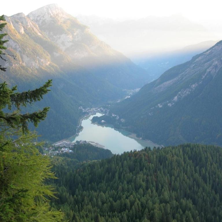 Cesa DOLOMITI - Appartamento con 2 Camere da Letto - 13