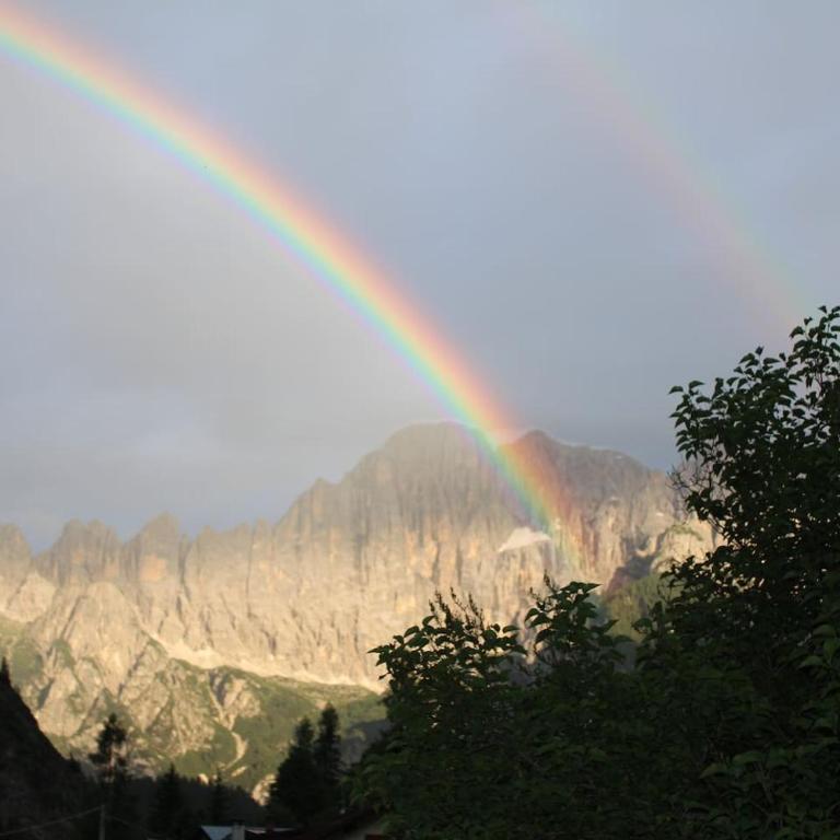 Cesa DOLOMITI - Appartamento con 2 Camere da Letto - 14