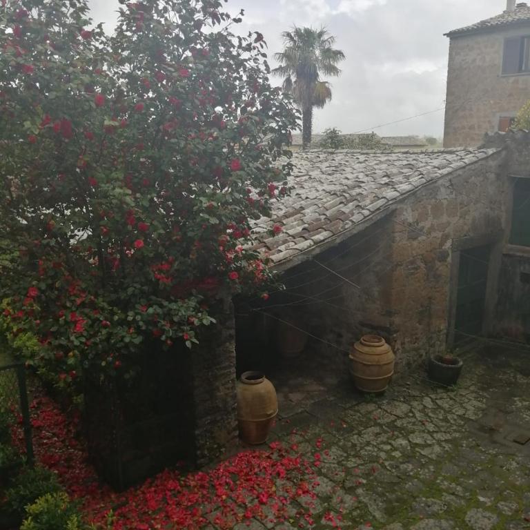 Antico Borgo - Deluxe Room - 13