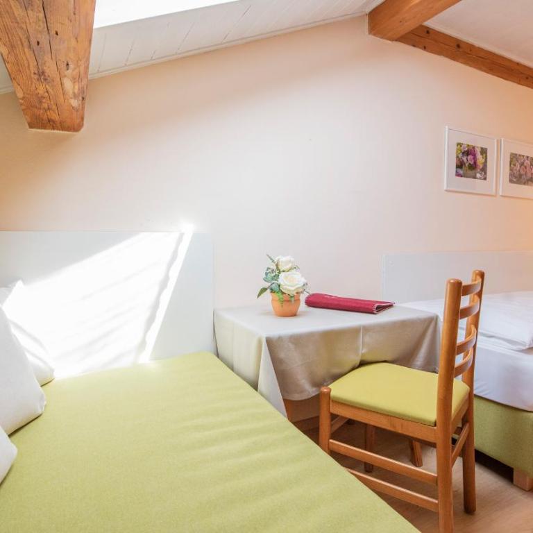 Pension Sandhofer - Habitación Individual - 1