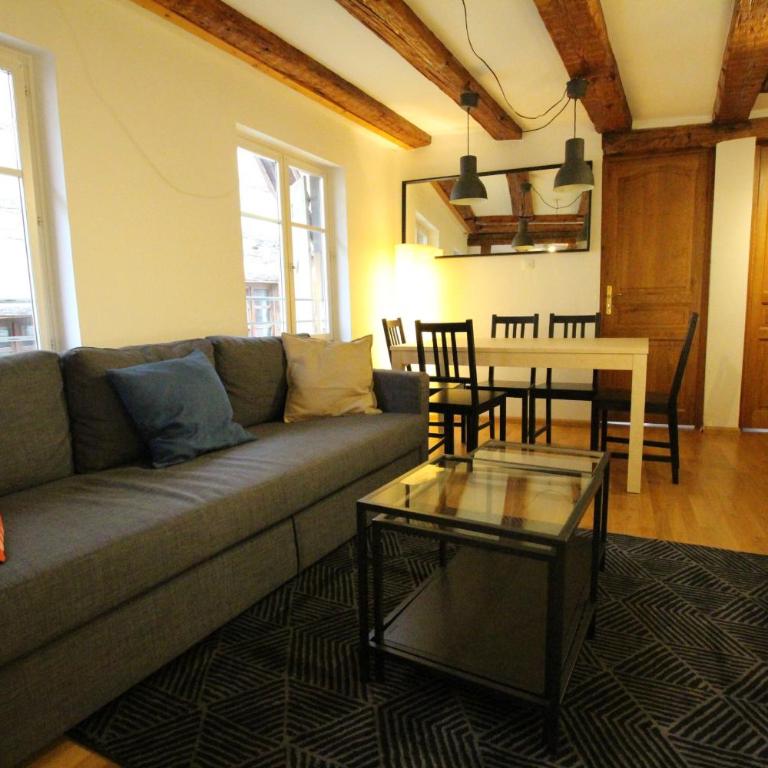 Colmar Historic Center - Alsacian Appartement PETITE VENISE 2 - BookingAlsace - Appartamento Superior - 8