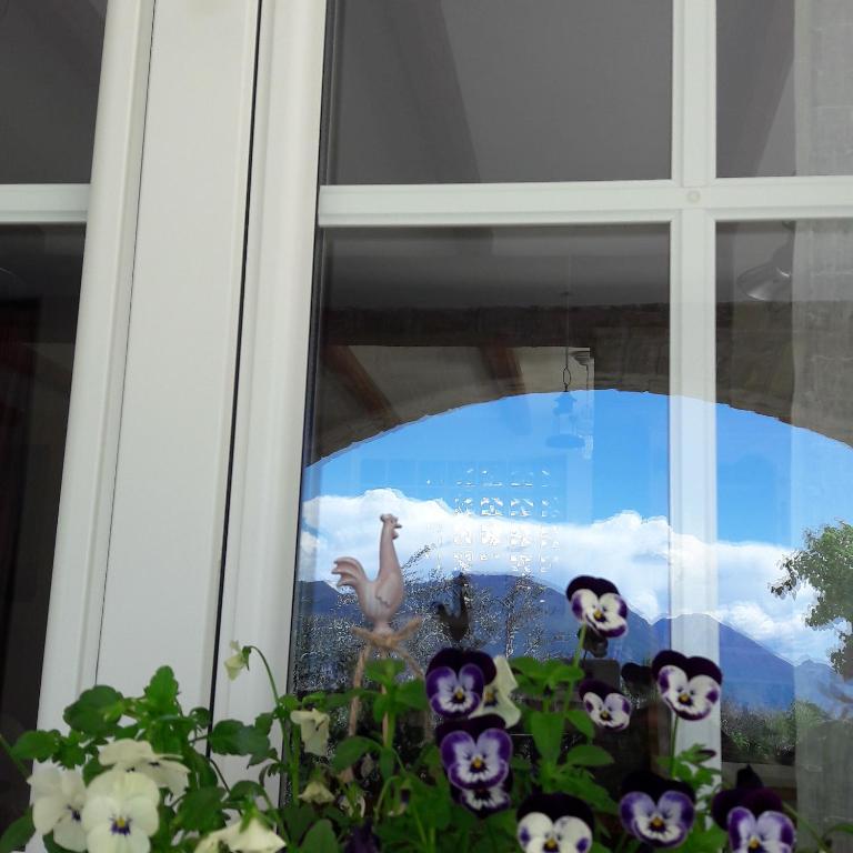 "Villa Giulia Nicole" Apartaments- Country House - Appartamento Deluxe - 7