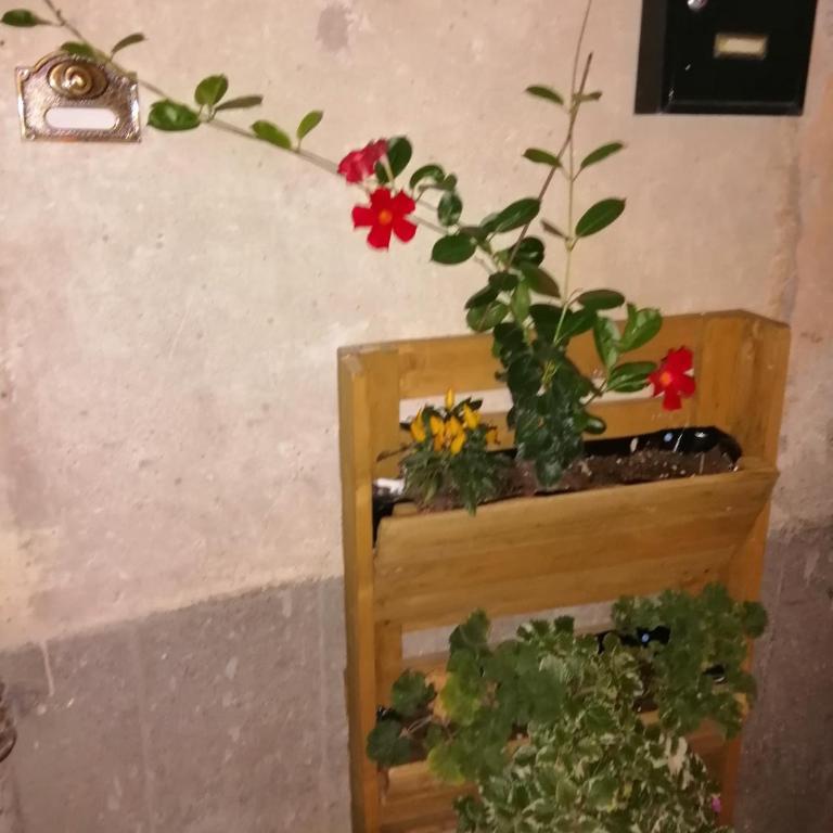 Antico Borgo - Deluxe Room - 17