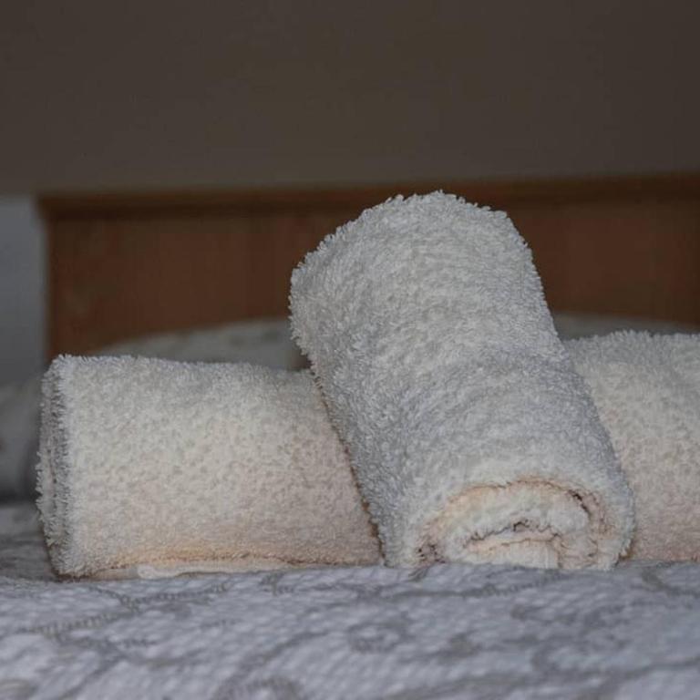 Apartmani Djokić sa bazenom - Apartman sa 1 Spavaćom Sobom - 3