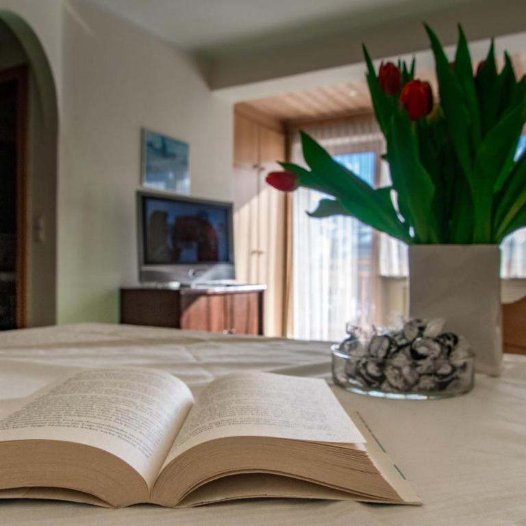Appartements Monuth - One-Bedroom Apartment with Balcony - 2