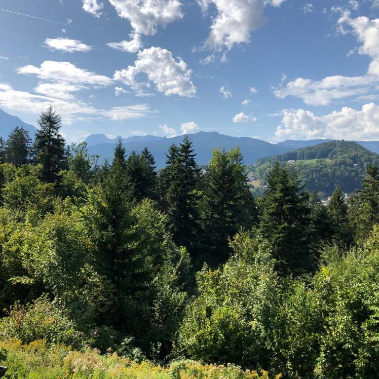 FeWo Waldkauz - Apartamento de 1 dormitorio - 25