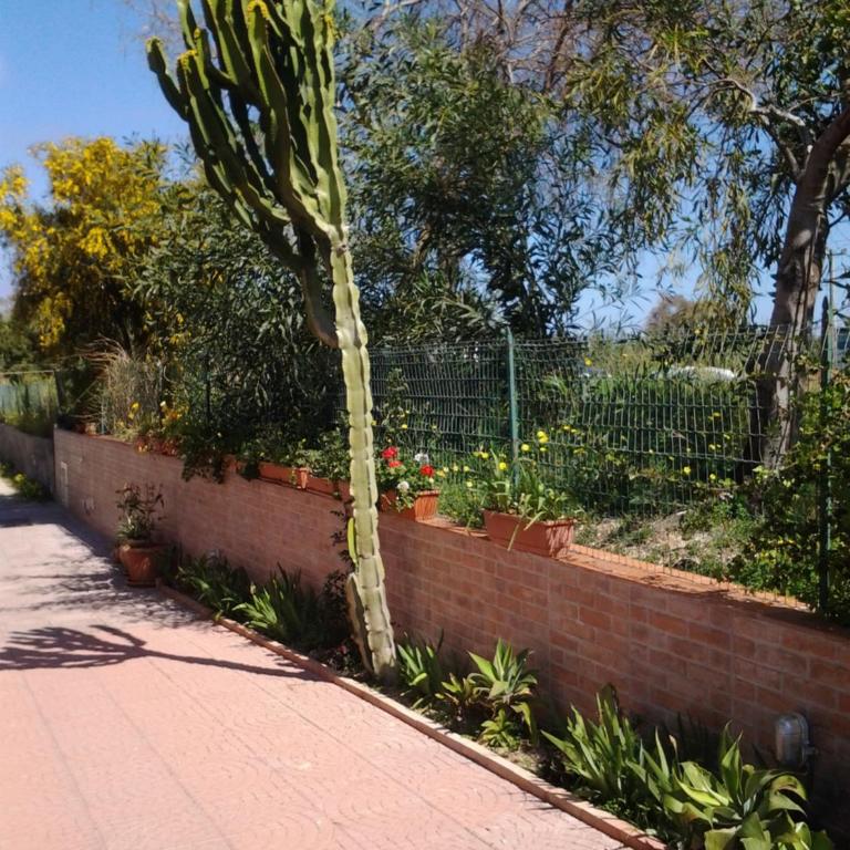 Fabiene Familyholidays Gelsonia - Appartamento con 2 Camere da Letto - 35