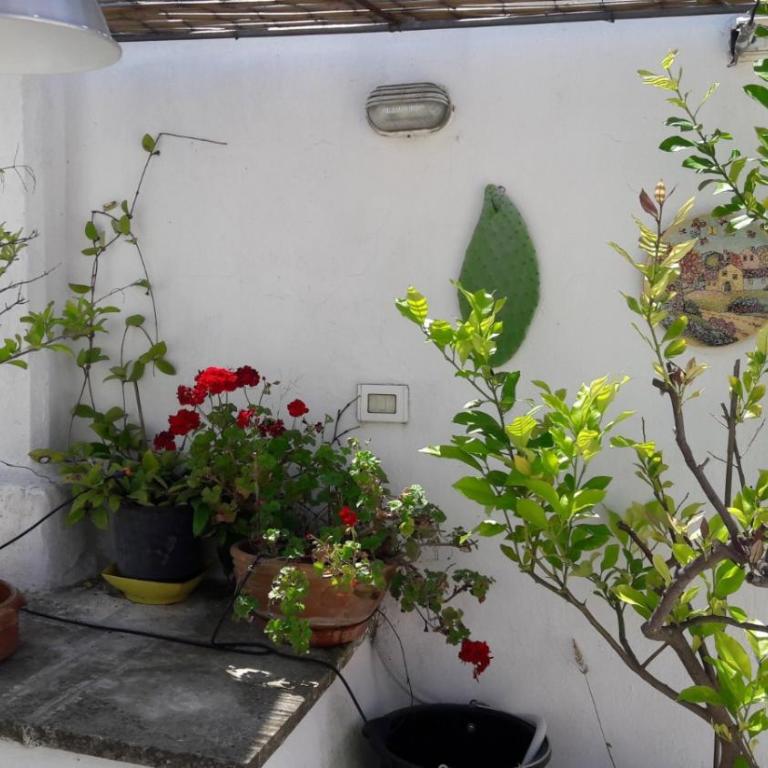 casa mia - Casa con 2 Camere da Letto - 11