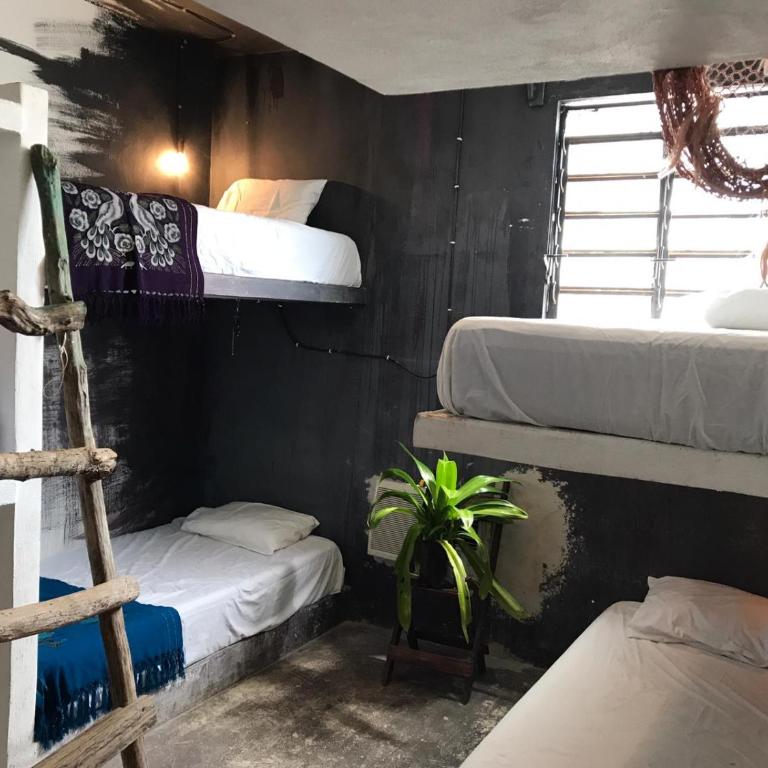 Black Jaguar Hostel - Cama en habitación compartida mixta de 6 camas - 1