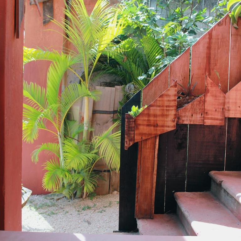 Black Jaguar Hostel - Cama en habitación compartida femenina de 6 camas - 2