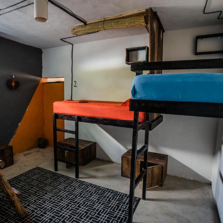 Black Jaguar Hostel - Cama en habitación compartida mixta de 6 camas - 5