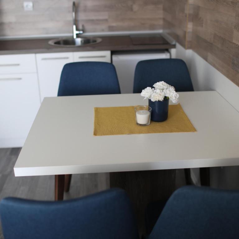 Premier 24 Milmari Kopaonik - Studio - 19