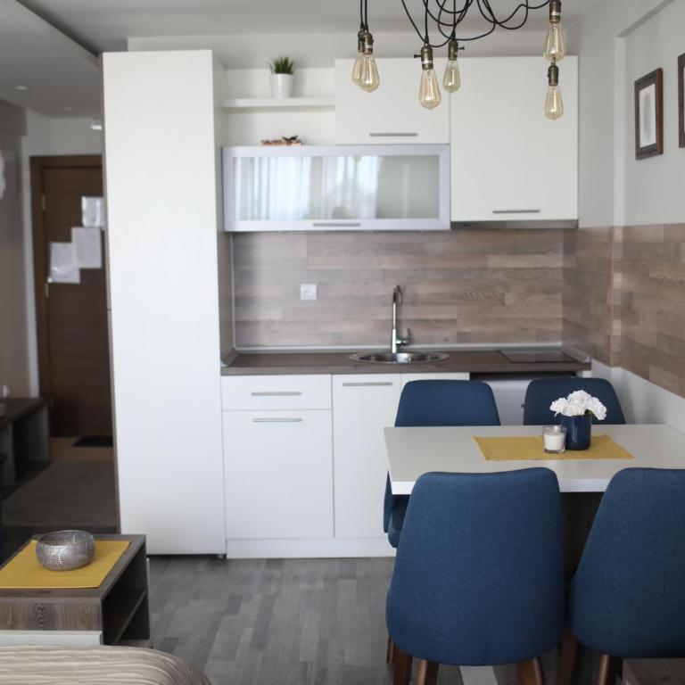 Premier 24 Milmari Kopaonik - Studio - 17