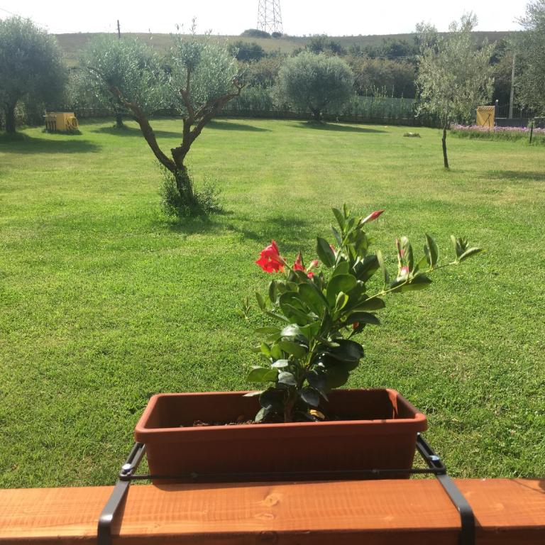 La Rosa del lago - Appartamento - Piano Terra - 31