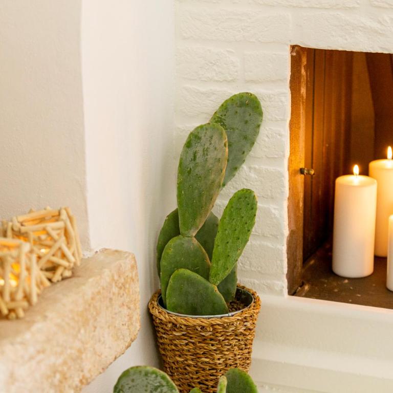 Alesia luxury suite Ostuni - Camera Tripla con Bagno - 8