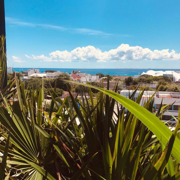 Riva Playasur 405 - Apartment mit 1 Schlafzimmer - 16