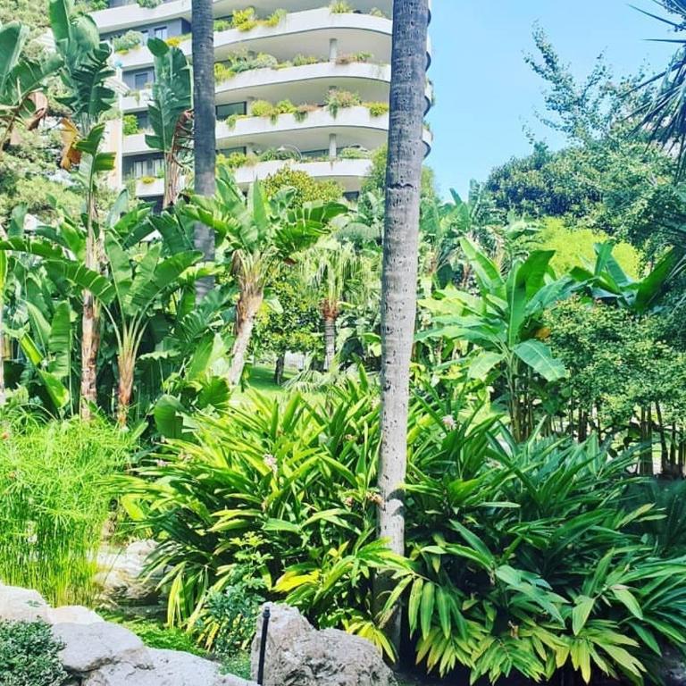 Home for 2 few steps from center of Monte Carlo - Appartement - 39