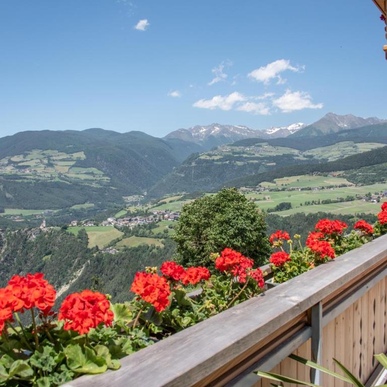 Forchnerhof Panorama - Dolomitenblick - Appartamento con 1 Camera da Letto - 21