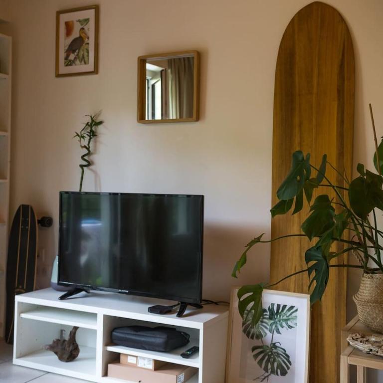 HOSSEGOR LA VIGIE entre lac et océan - Appartamento con 1 Camera da Letto - 28
