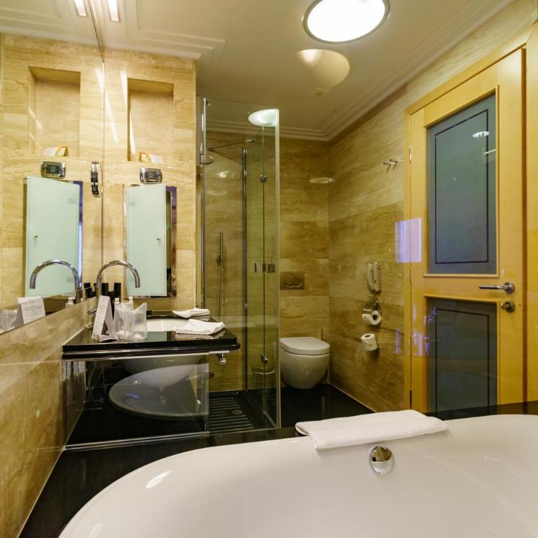 Splendid Conference & Spa Resort - Superior Soba sa Pogledom na Planinu - 5