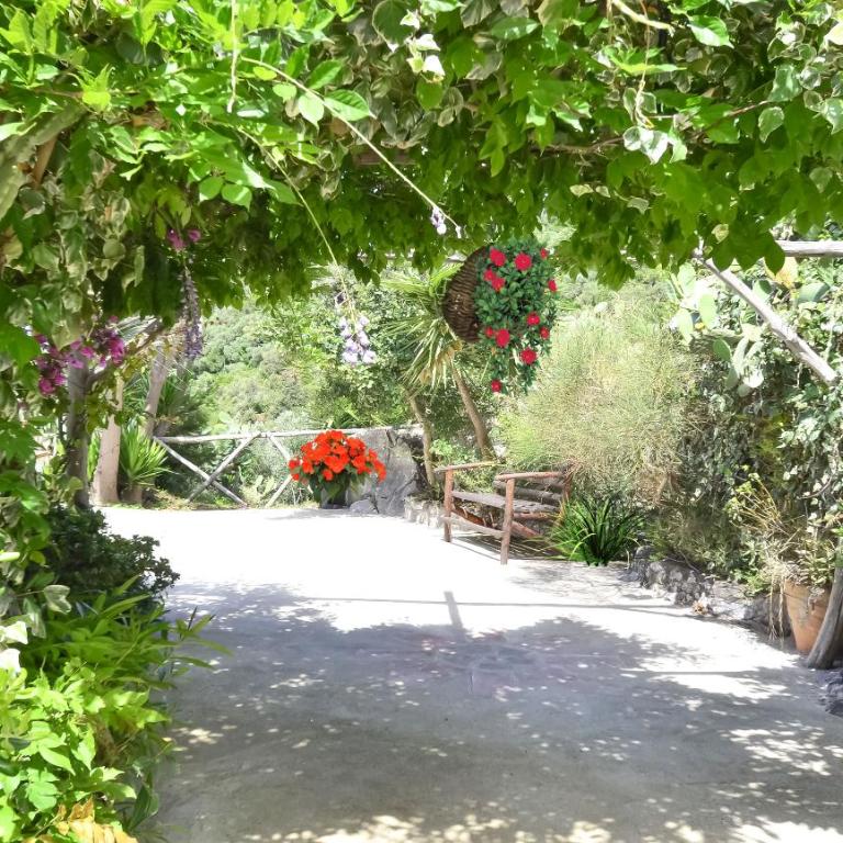 Amore Rentals - Villa Bacco - Villa con Vista Mare - 24