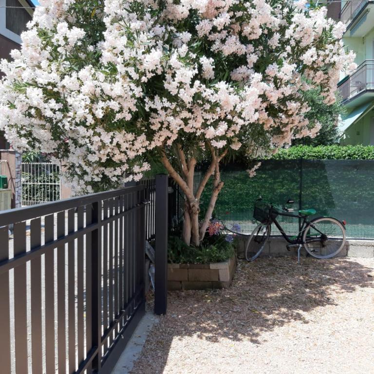 Villa Marianna Garda Lake - One-Bedroom Apartment - 18