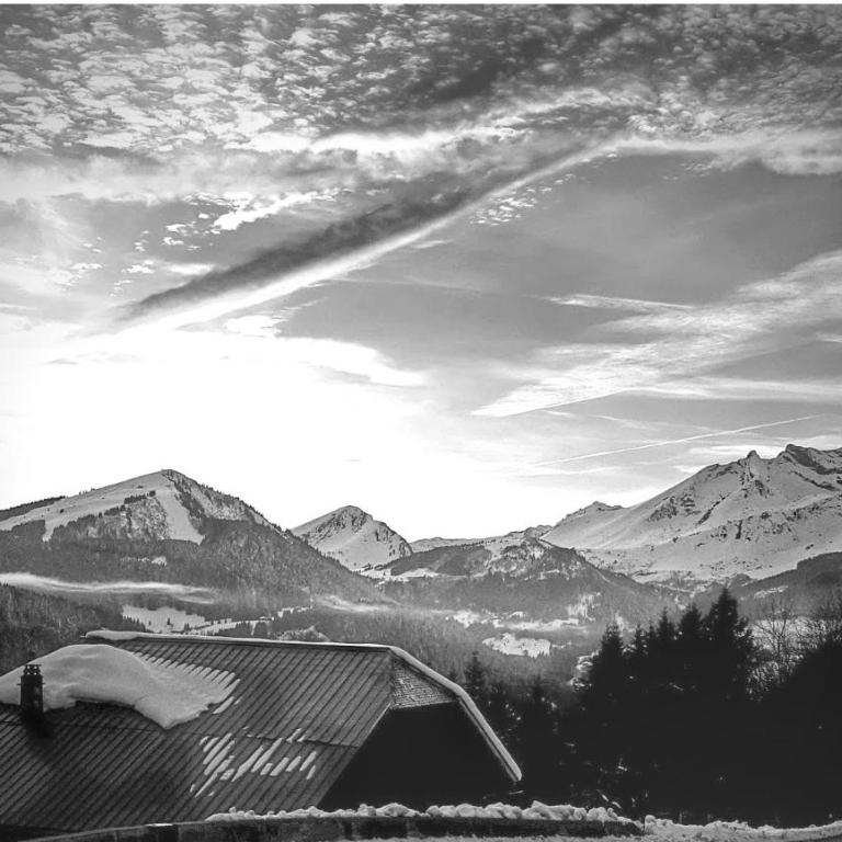Mazot Hirondelle - Chalet de 3 dormitorios - 30