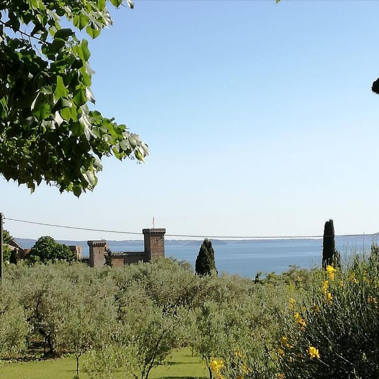Alloggio turistico La nuova Velzna - Appartamento - 32