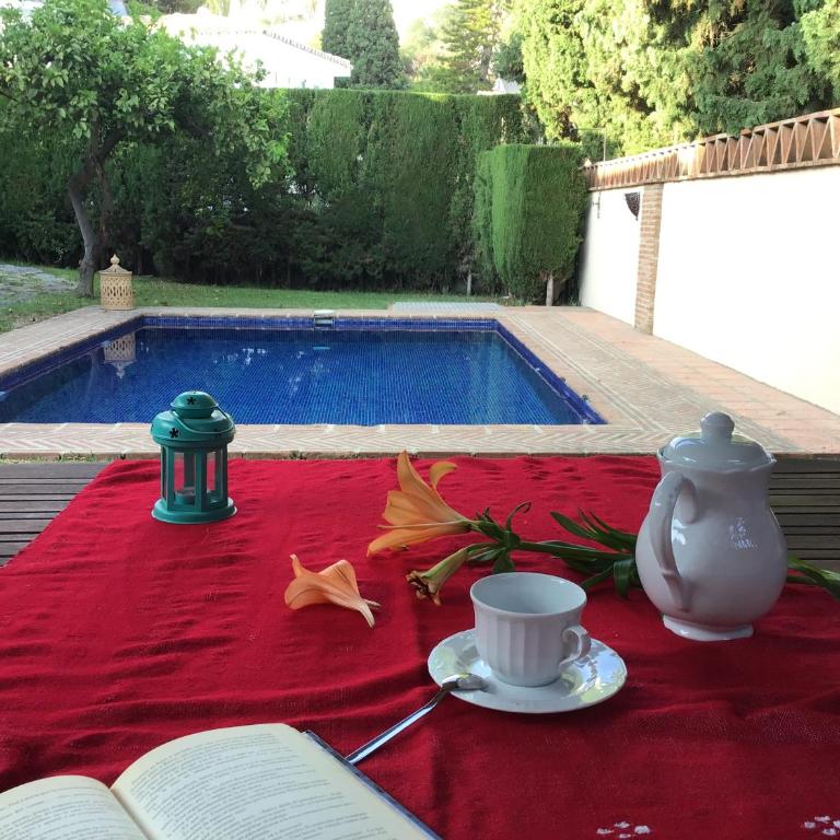 Tarajes - Apartamento Estudio - 1