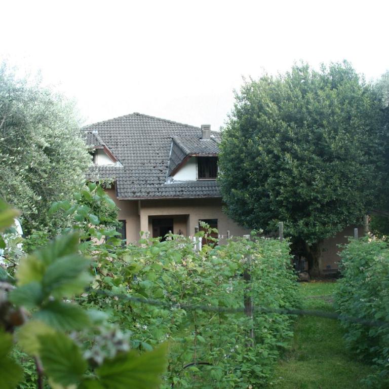 Agriturismo Badalone - Appartamento con Balcone - 14
