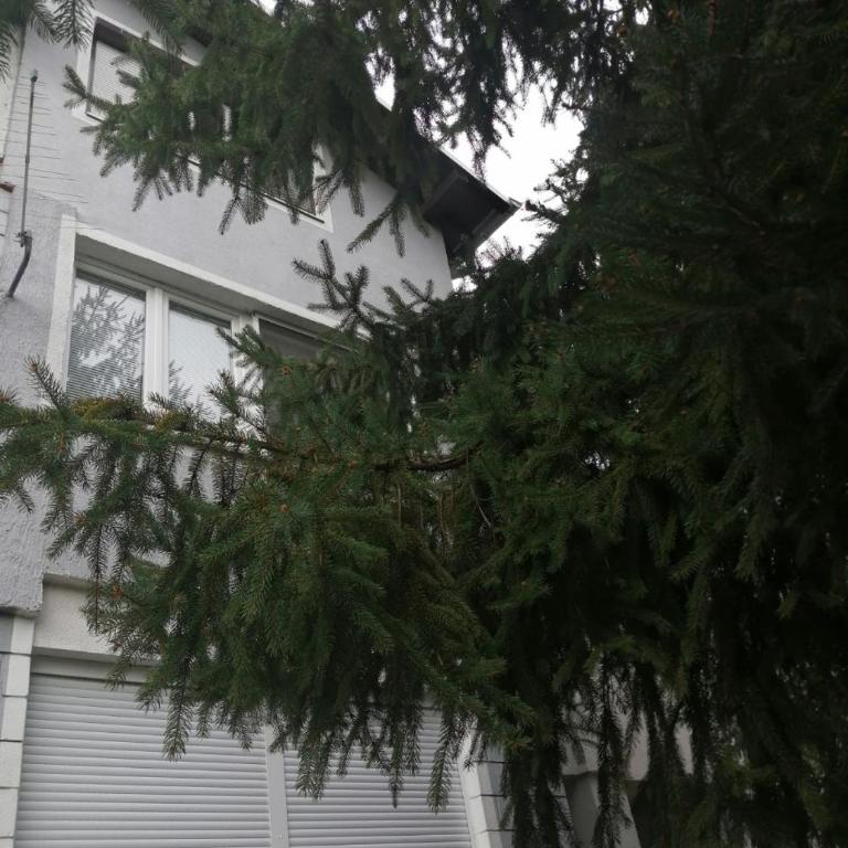 Apartment Viktor - Apartman sa 2 Spavaće Sobe - 21