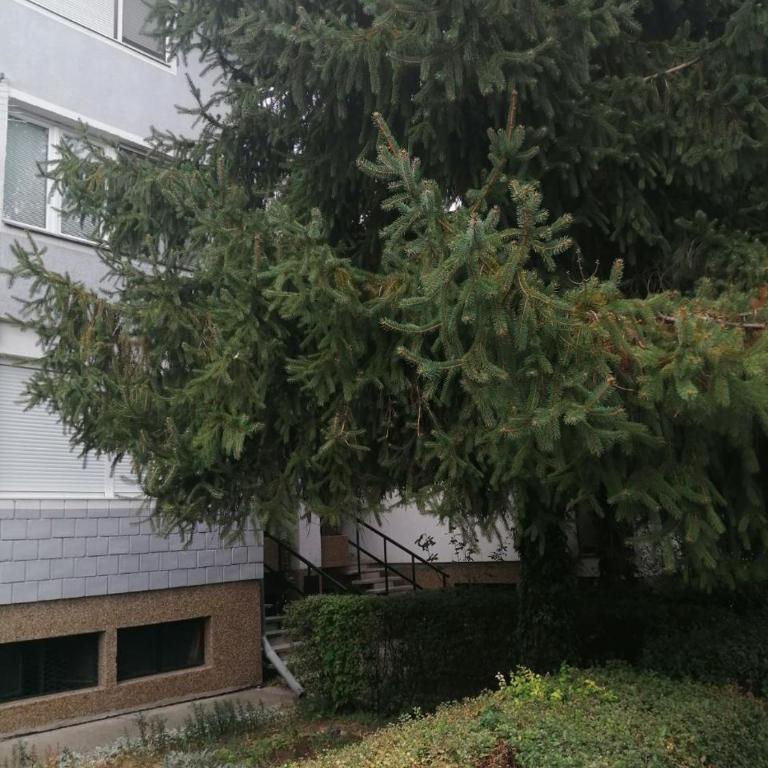 Apartment Viktor - Apartman sa 2 Spavaće Sobe - 20