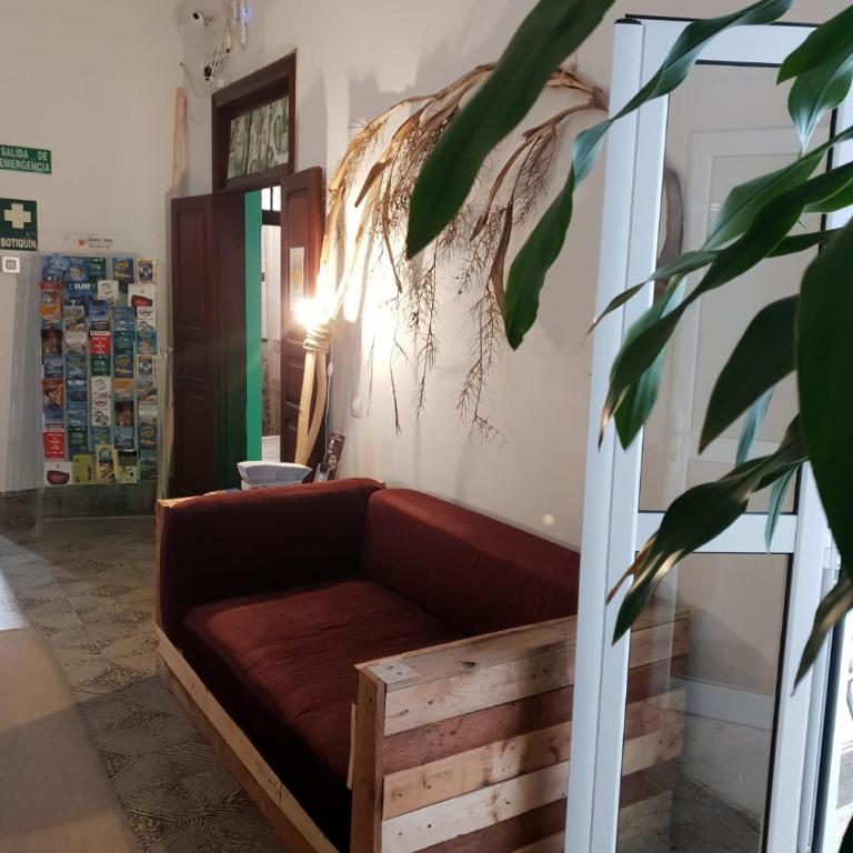 Cactus Host - Suite - 19