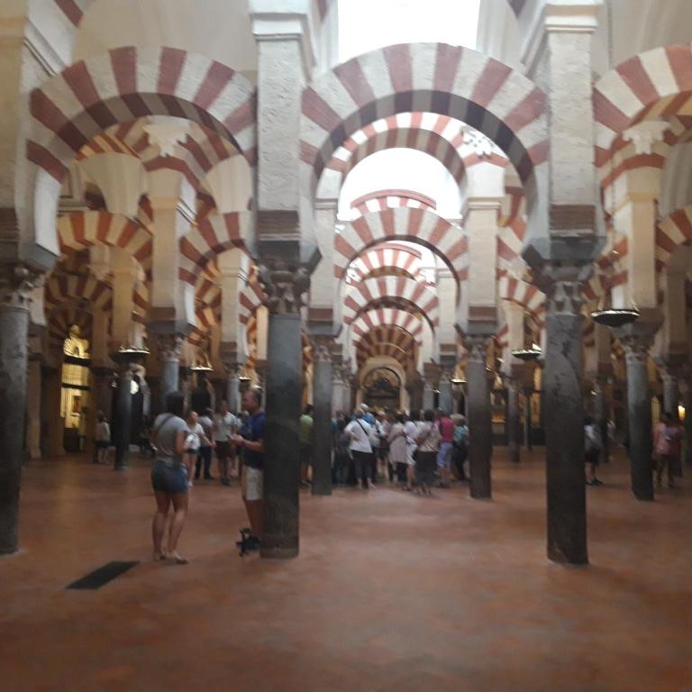 El Cordobes - Casa Unifamiliar de 3 dormitorios - 16