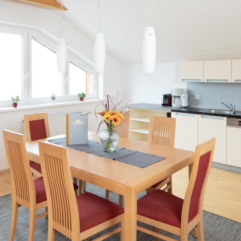 Sunshine Appartements Schilchegger - Appartamento (6 Adulti) - 6