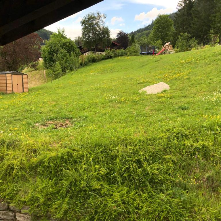 Ferienwohnungen Oberau - Apartamento Económico de un dormitorio - 1