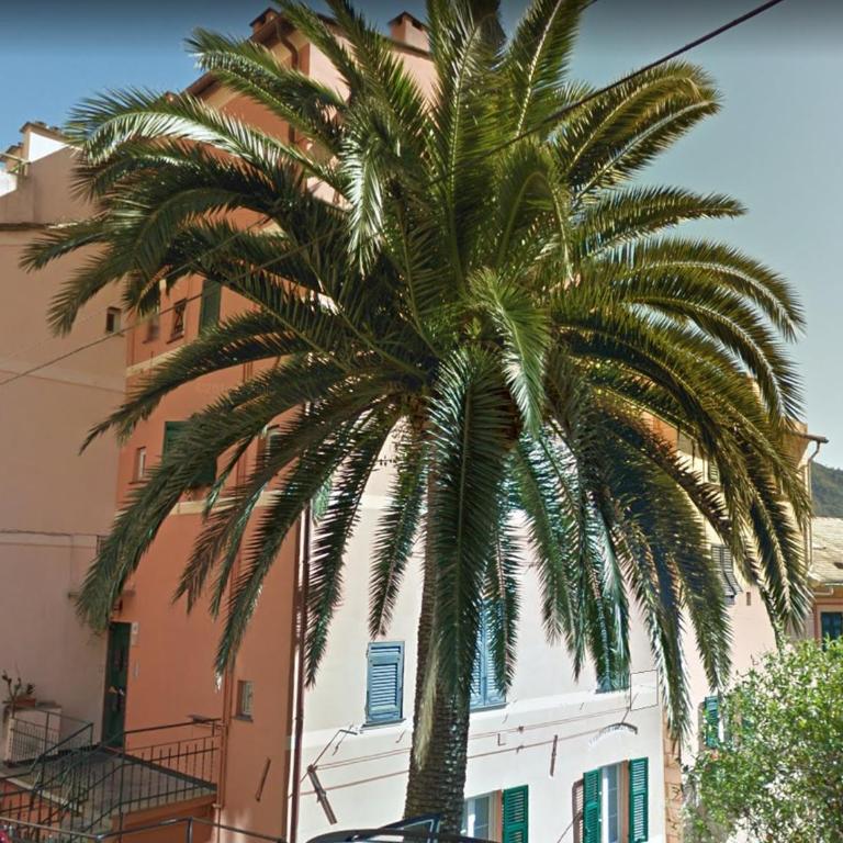 Embarcadero - Camogli & Gateway To Portofino - Appartamento con 2 Camere da Letto - 2