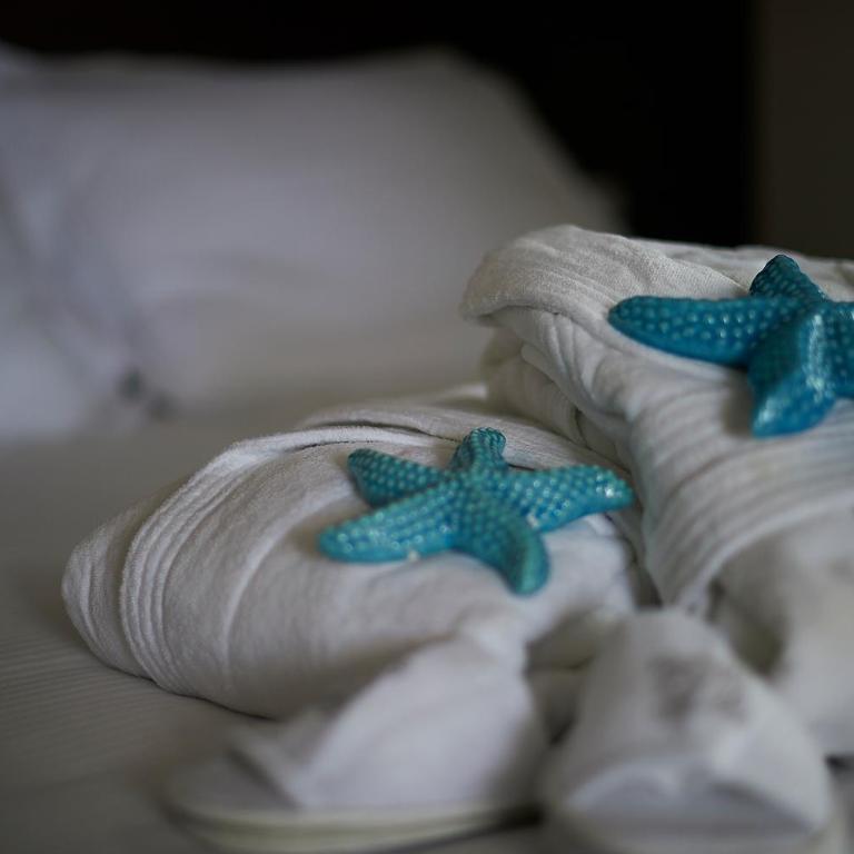 Alisei Palace Hotel - Camera Classic Matrimoniale/Doppia con Letti Singoli con Accesso Spa - 6