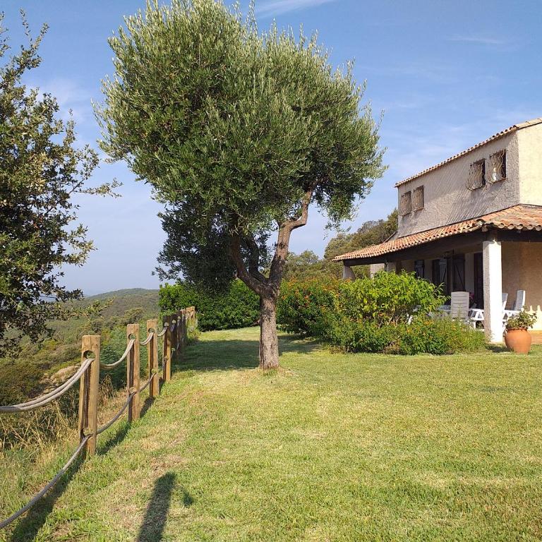 Villa Merveille - Villa - Vue sur Mer - 7