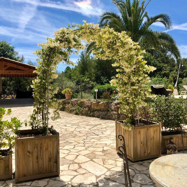B&B Villa Ganesh - Studio with pool view and kitchenette - 11