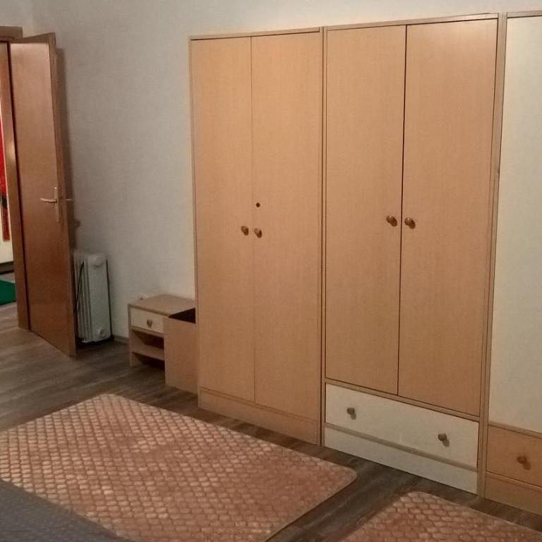 Apartman-Vila Nikola, 064jedansedamdvatridevetnulatri - One-Bedroom Apartment - 4