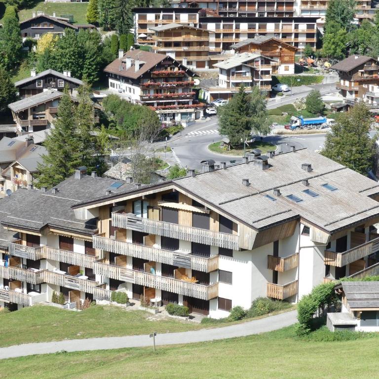 Parnasse 2-203 - Bel appartement sur les pistes de ski et dans le village, au calme - Estudio con balcón - 15