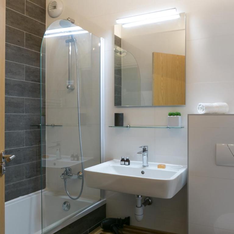 Chalet Marmotte M1 Penthouse for 8 - Superior Apartment - 30