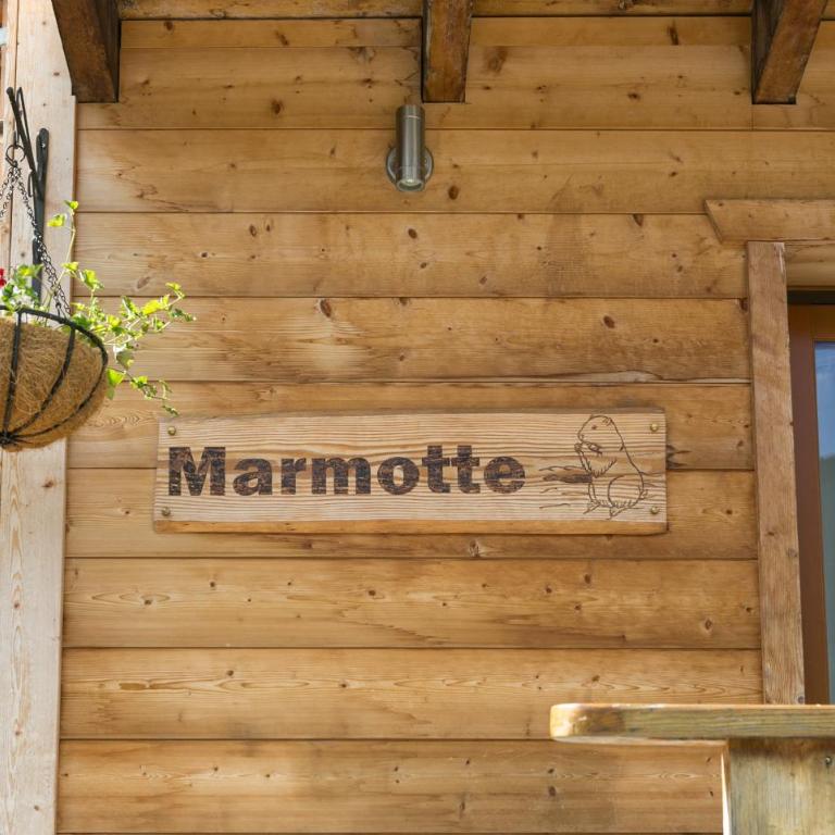 Chalet Marmotte M1 Penthouse for 8 - Superior Apartment - 19