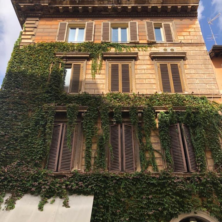 Vatican Color House - Appartement 1 Chambre - 5