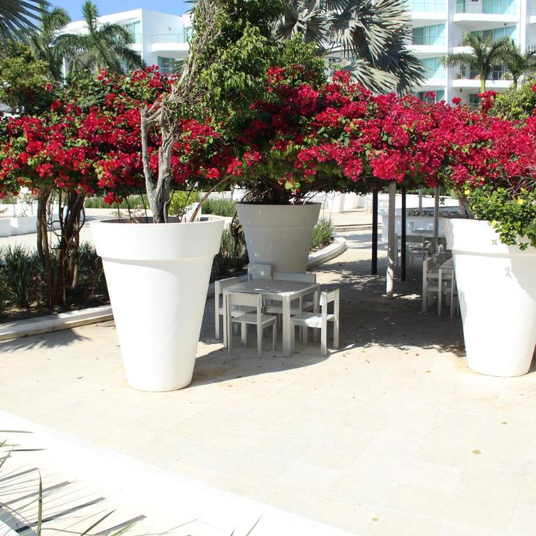 Estudio 310 Nuevo Vallarta, frente al mar, totalmente equipado y amueblado! - Apartamento Estudio - 18