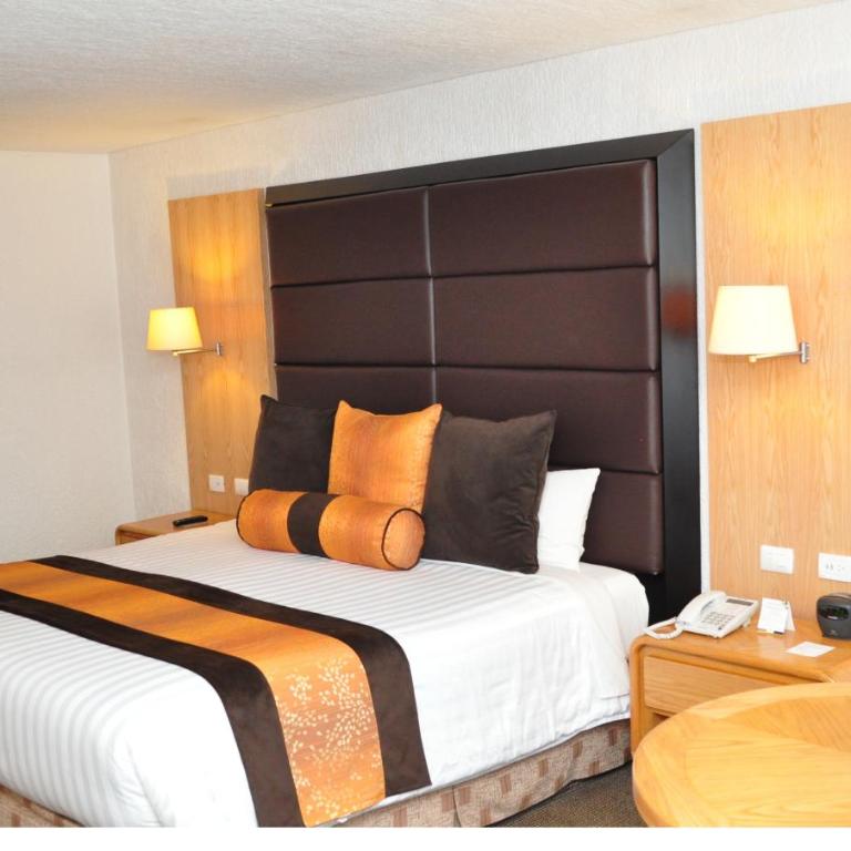 Royal Pedregal - King Room - 1
