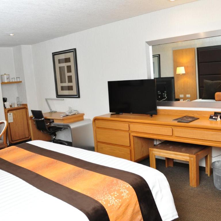 Royal Pedregal - King Room - 3