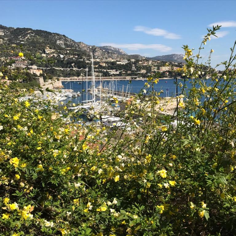 Nice/Villefranche - Appartement 1 Chambre - 9